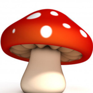 Penis Envys